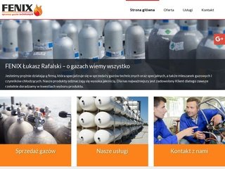 Podgląd fenix-gazytechniczne.com