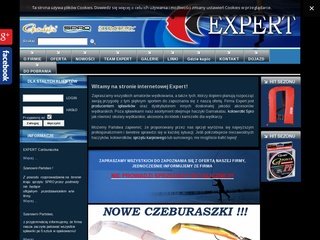 Podgląd expertfloat.pl