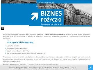 Podgląd biznespozyczki.pl