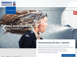 Podgląd klimatyzacja.szczecin.pl