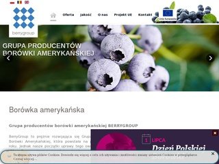 Podgląd berrygroup.eu