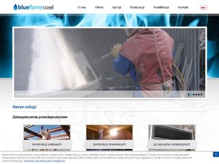 Podgląd blueflamesteel.com