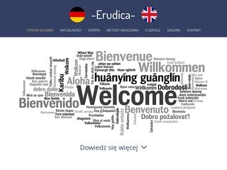 Podgląd erudica.com