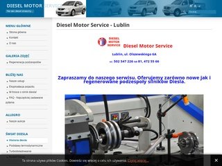 Podgląd diesel-service.info.pl