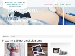 Podgląd ginekolog-gliwice.com.pl