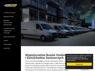 Podgląd busiklodz.pl