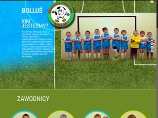 Podgląd bollus.pl