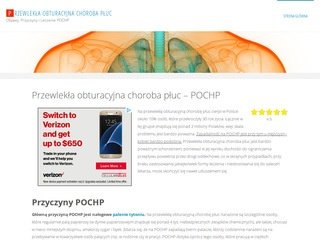 Podgląd pochp.net.pl