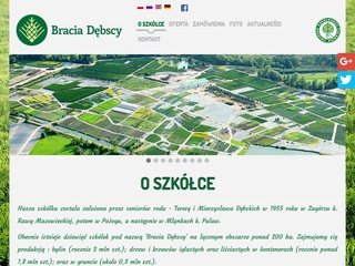 Podgląd braciadebscy.pl