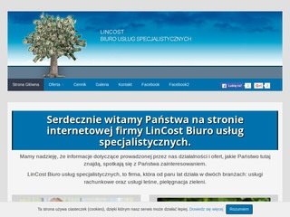 Podgląd lincost.pl