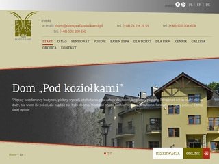 Podgląd dompodkoziolkami.com.pl