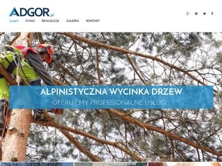 Podgląd adgor.pl