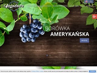 Podgląd jagodowe.com