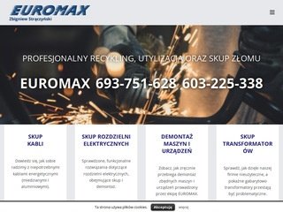 Podgląd https://euromax24.com