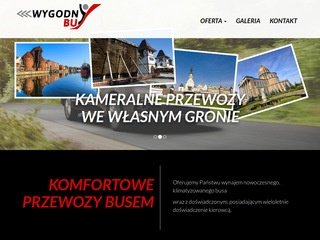 Podgląd wygodnybus.pl