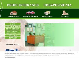 Podgląd profi-insurance.com.pl