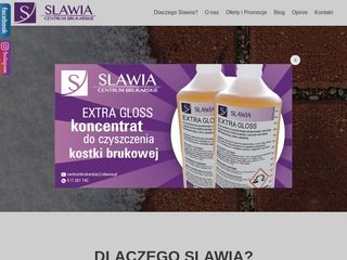 Podgląd slawia.pl