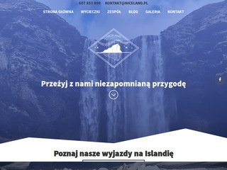 Podgląd niceland.pl