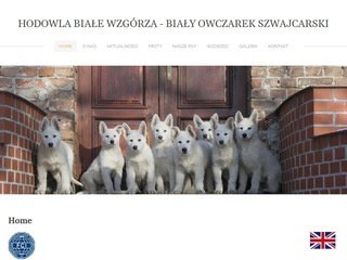 Podgląd bialyowczarekszwajcarski.weebly.com