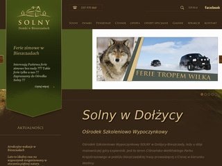 Miniaturka solny.com.pl