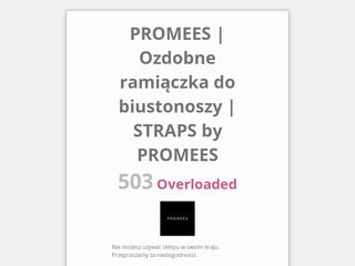 Podgląd https://www.promees.pl