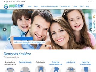 Podgląd amident.eu