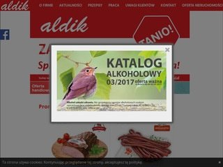 Podgląd aldik.pl