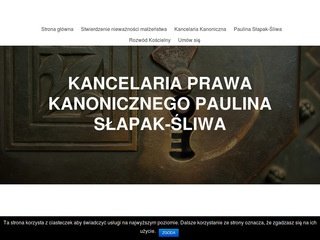 Podgląd slapak-sliwa.com