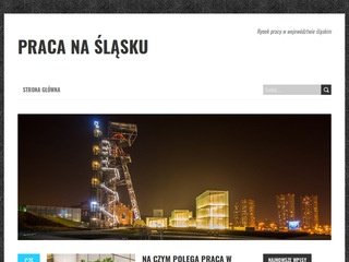 Podgląd slask-praca.pl