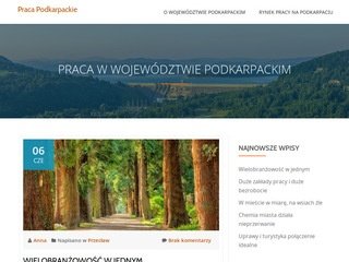 Podgląd podkarpackie-praca.pl