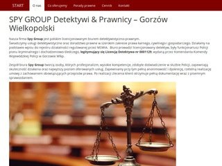 Podgląd spygroup.pl