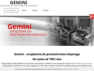 Podgląd gemini-serwis.pl