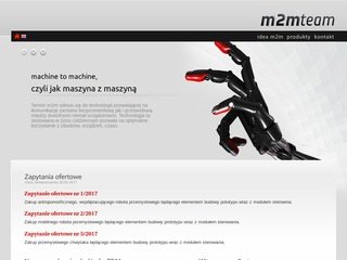 Miniaturka m2mteam.pl