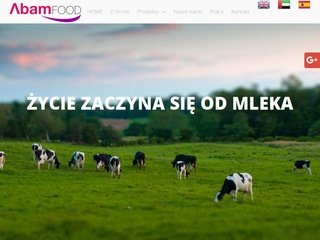 Podgląd abamfood.pl