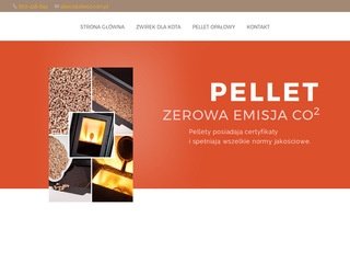 Podgląd alleco.com.pl