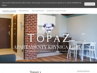 Podgląd apartamentykrynicazdroj.eu