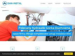 Podgląd dan-instal.pl