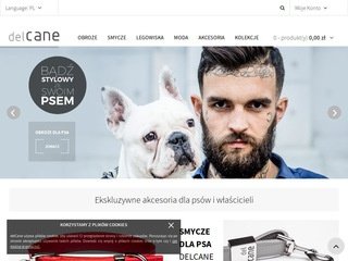 Podgląd https://delcane.pl