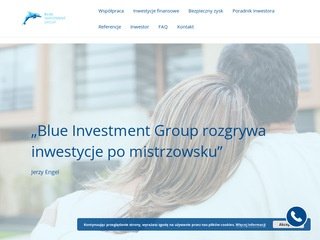 Podgląd https://www.big.biz.pl