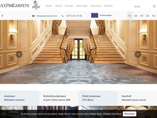 Podgląd axprocarpets.com