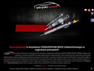 Podgląd wtryskinowak.pl