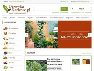 Podgląd https://www.drzewkakarlowe.pl