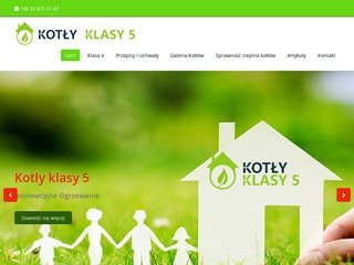 Podgląd kotly-klasy-5.pl