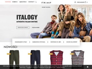 Podgląd https://italogy.pl