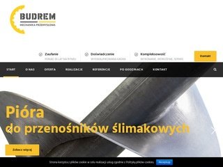 Podgląd budrem.net