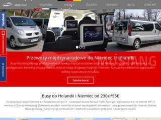 Podgląd https://busymustang.pl