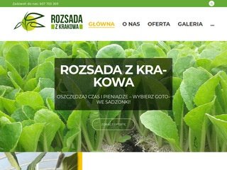 Podgląd rozsadazkrakowa.pl