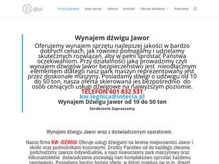 Podgląd wynajemdzwigowjawor.pl