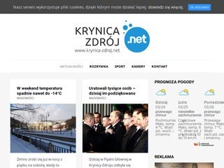 Podgląd krynica-zdroj.net