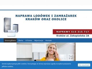 Miniaturka naprawalodowekkrakow.pl